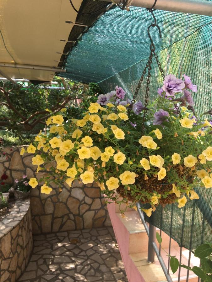 Apartmani Anica Risika Buitenkant foto