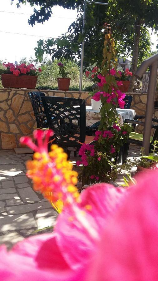 Apartmani Anica Risika Buitenkant foto